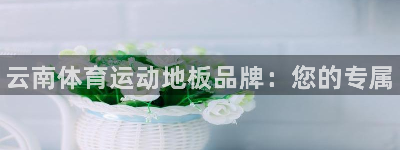 熊猫体育网址