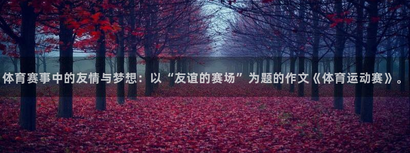 熊猫体育比赛直播
