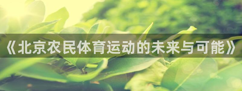 熊猫体育官网