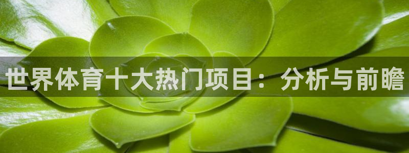 熊猫体育app官方下载最新版