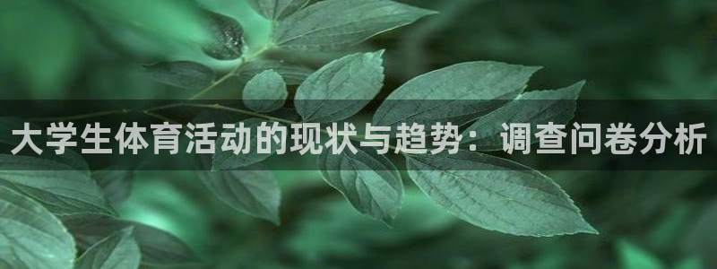 熊猫体育app下载安装