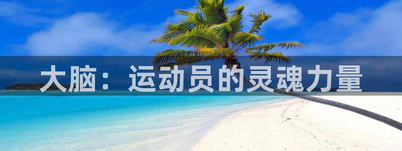 熊猫体育文化有限公司
