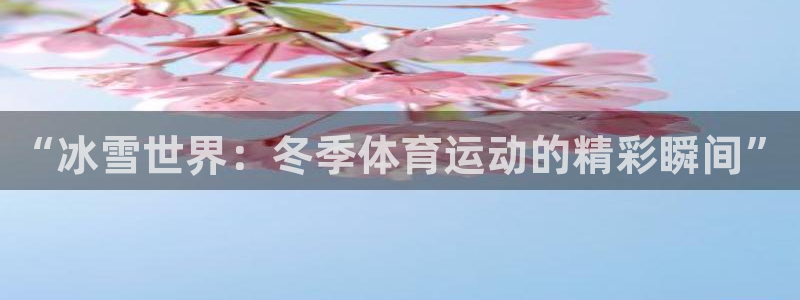 熊猫体育直播