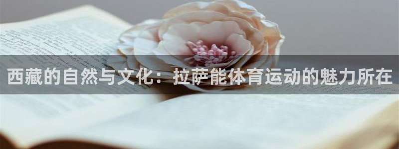熊猫体育app官方下载最新版