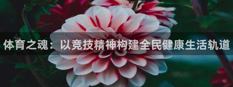 熊猫体育公园