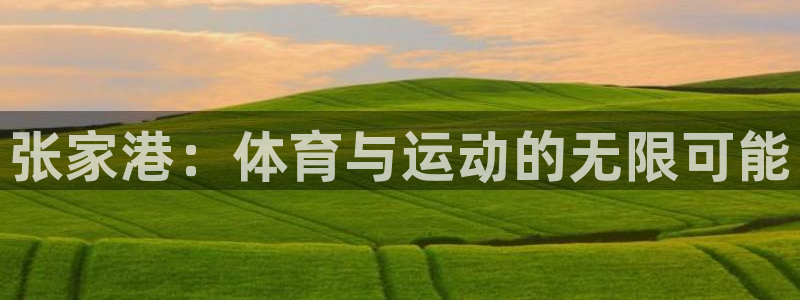 熊猫体育手机版