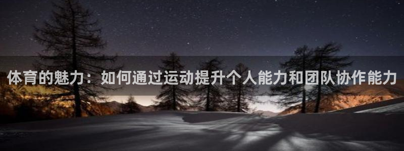 成都熊猫体育公园