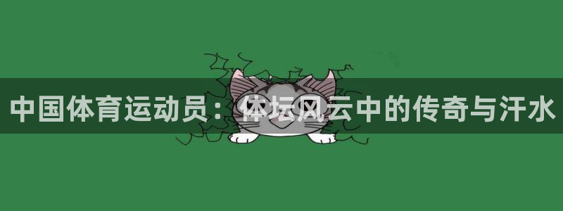 熊猫体育公园价格